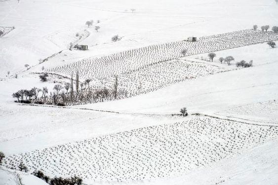 چشم انداز زمستانی