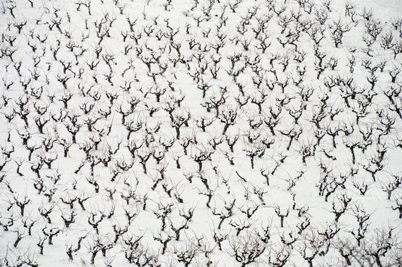 چشم انداز زمستانی