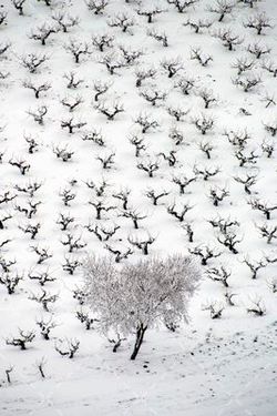 چشم انداز زمستانی