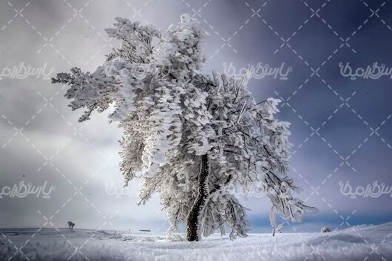 تصویر با کیفیت فصل زمستان