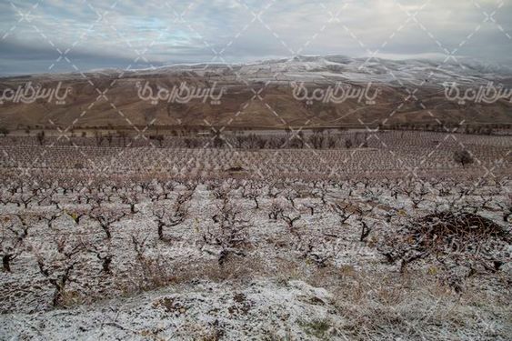 تصویر با کیفیت فصل زمستان