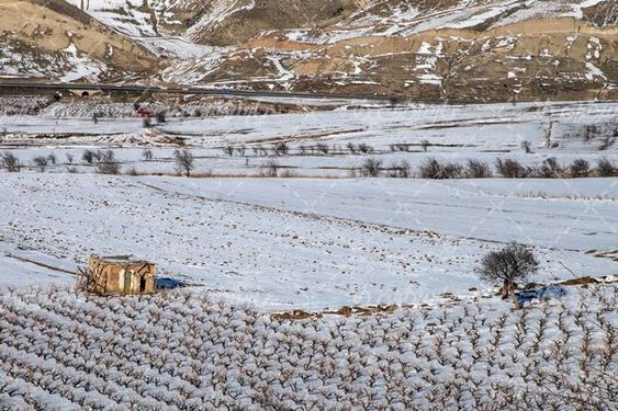 تصویر با کیفیت فصل زمستان