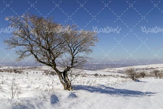 تصویر با کیفیت فصل زمستان