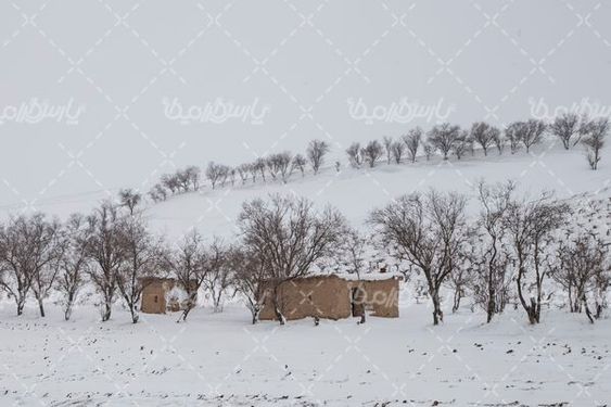 برف زمستانی
