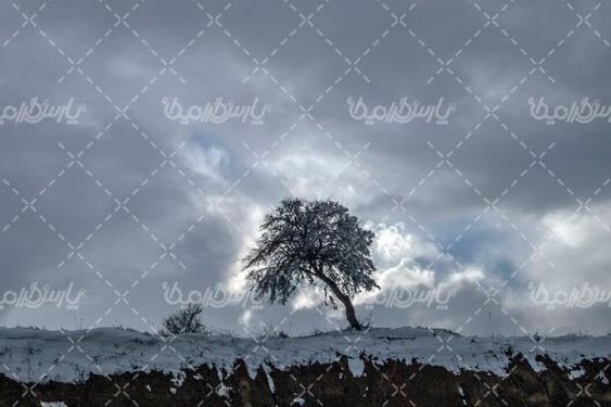 برف زمستانی