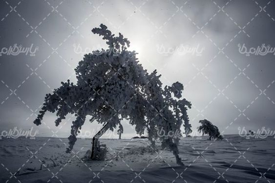 برف زمستانی