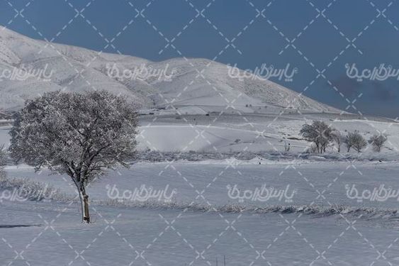 تصویر با کیفیت برف