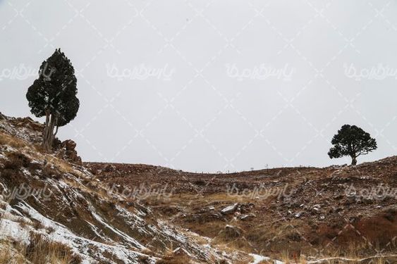 تصویر با کیفیت برف