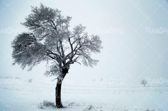 تصویر با کیفیت برف
