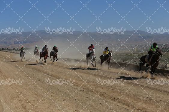 مسابقه سوارکاری