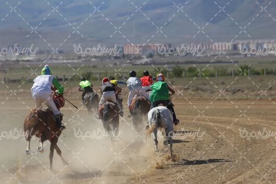 مسابقه سوارکاری