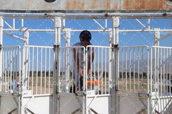 کورس اسب دوانی