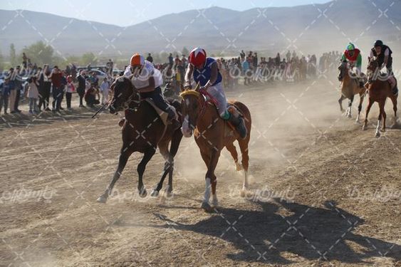 کورس اسب دوانی