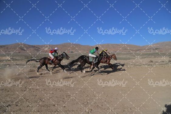 کورس اسب دوانی