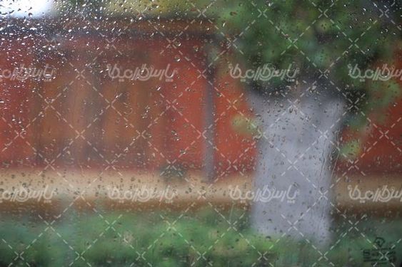 شیشه بارانی خودرو