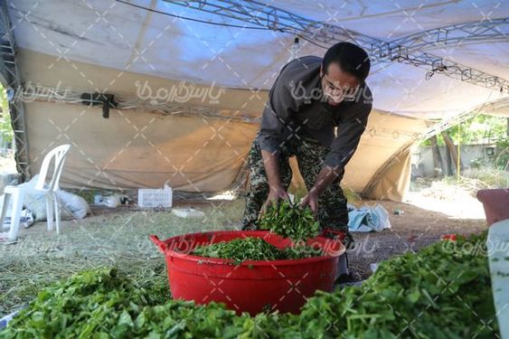 دانلود تصویر پخت آش نذری