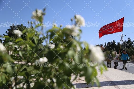 پیاده روی اربعین