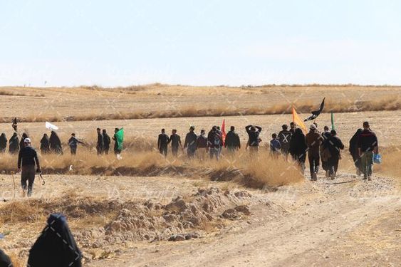 تصویر پیاده روی مشهد