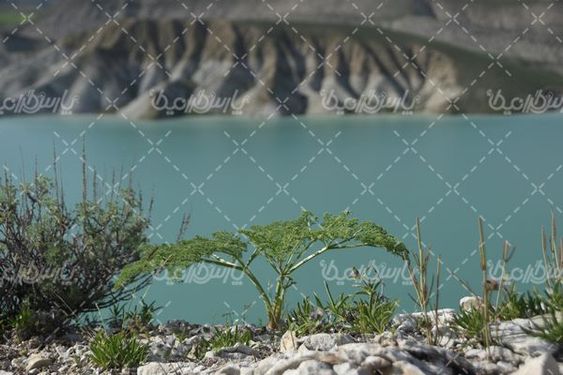 تصویر با کیفیت دریاچه