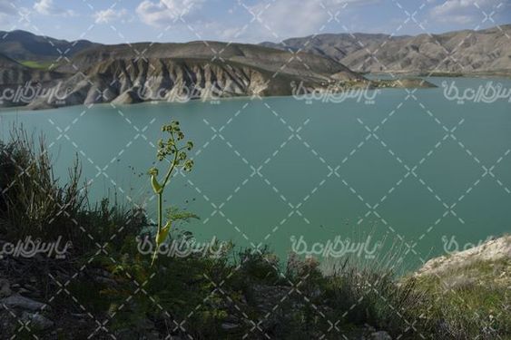 تصویر با کیفیت دریاچه