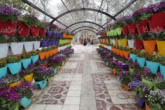 دانلود تصویر المان های نوروزی