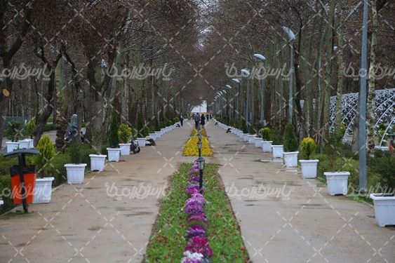 گل کاری شهری