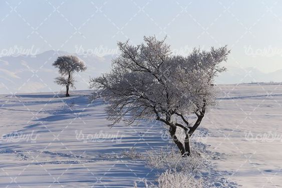 تصویر با کیفیت فصل زمستان