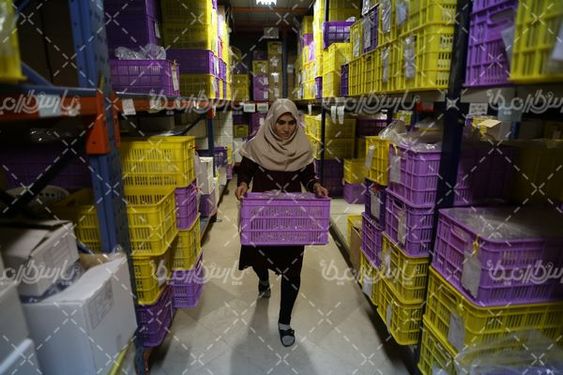 کارخانه فرآوری و بسته بندی زعفران