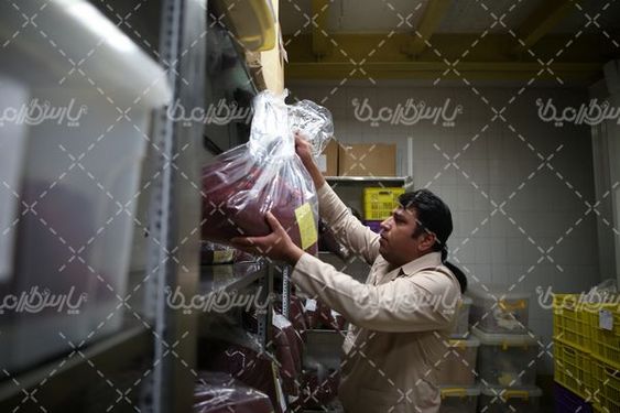 کارخانه زعفران