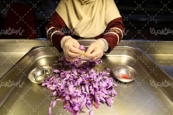 کارخانه زعفران