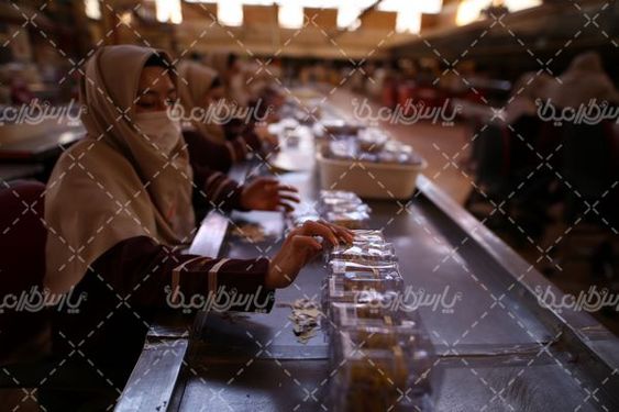 تصویر با کیفیت کارخانه زعفران