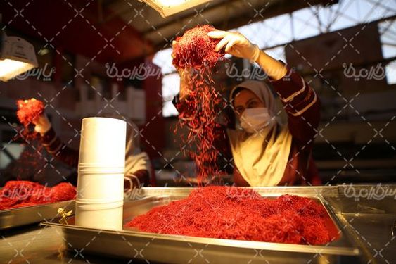 کارخانه بسته بندی زعفران