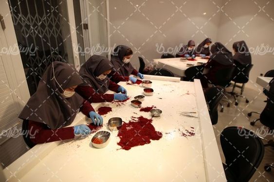 دانلود عکس کارخانه زعفران