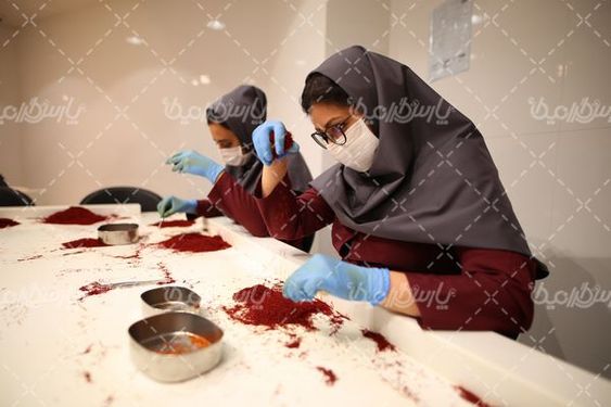 دانلود عکس کارخانه زعفران