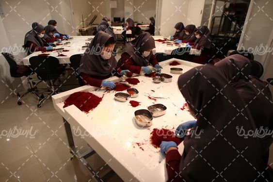 دانلود عکس کارخانه زعفران