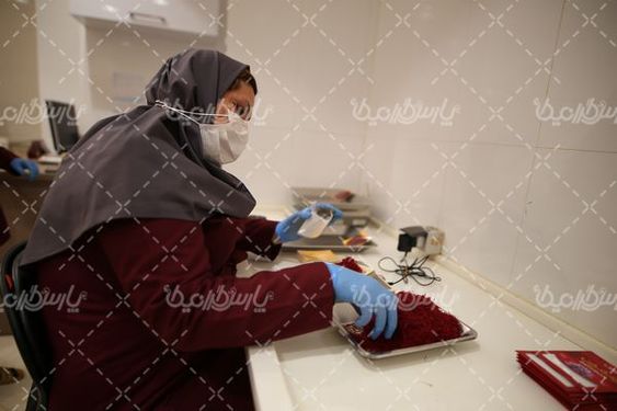 دانلود عکس کارخانه زعفران