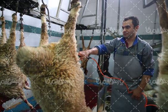 کشتارگاه صنعتی