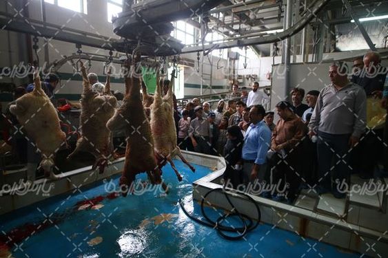 کشتارگاه صنعتی