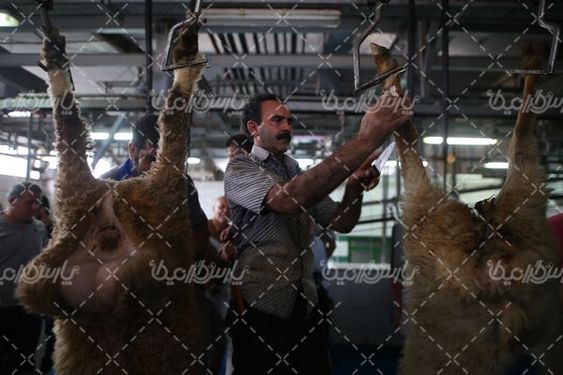 کشتارگاه صنعتی