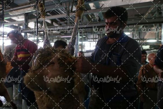 کشتارگاه صنعتی