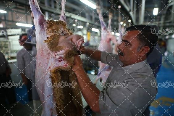 کشتارگاه صنعتی