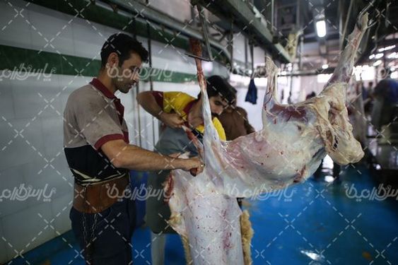 کشتارگاه صنعتی