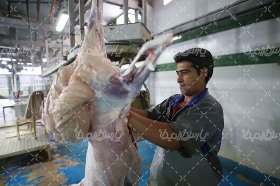 کشتارگاه صنعتی