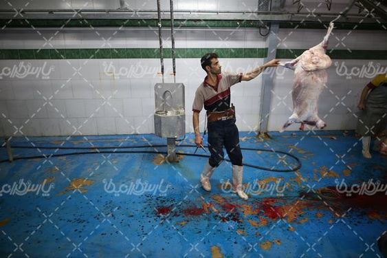 تصویر با کیفیت کشتارگاه صنعتی