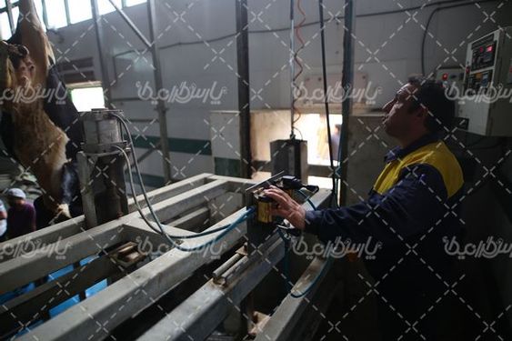 تصویر با کیفیت کشتارگاه صنعتی