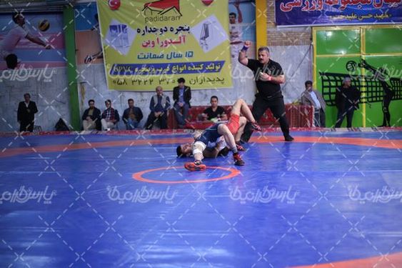 لیگ جهانی کشتی