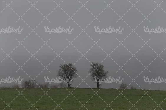 تصویر با کیفیت منظره مه آلود