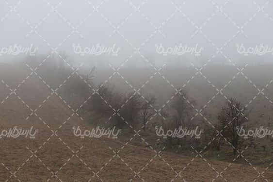 تصویر با کیفیت هوای مه آِلود