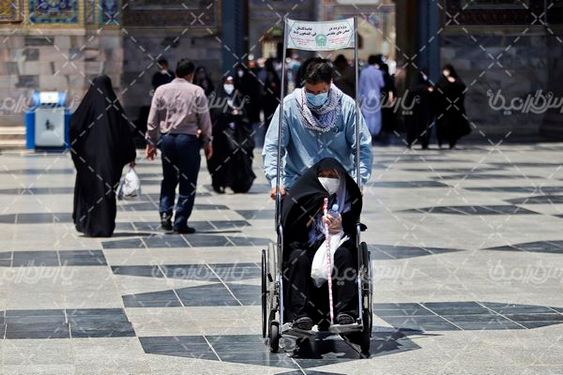 زائر حرم امام رضا