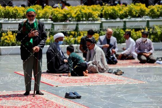 زائر حرم امام رضا